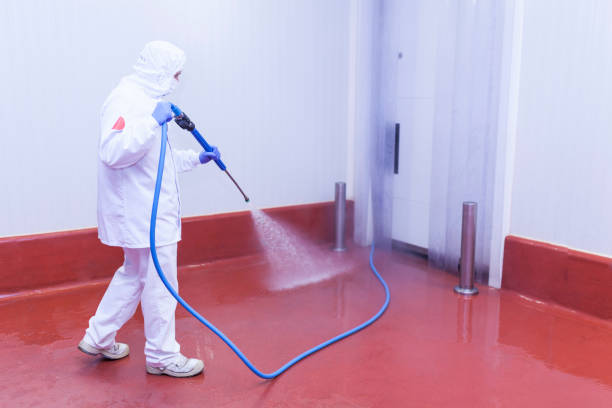 Best Paint Preparation  in Tice, FL