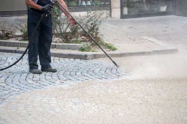 Best Spring Cleaning  in Tice, FL