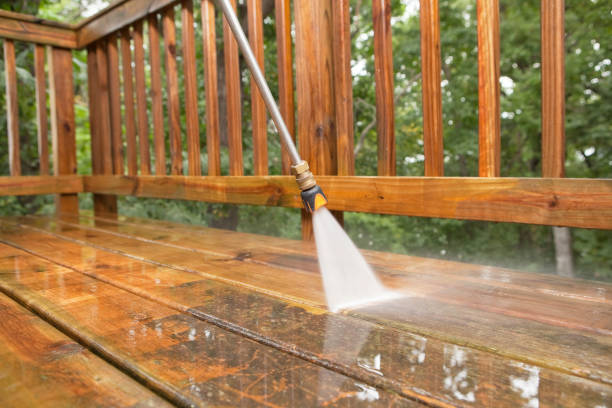 Best Driveway Pressure Washing  in Tice, FL
